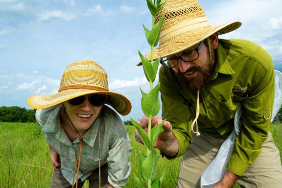 A man and woman look for insects during a citizen science event.