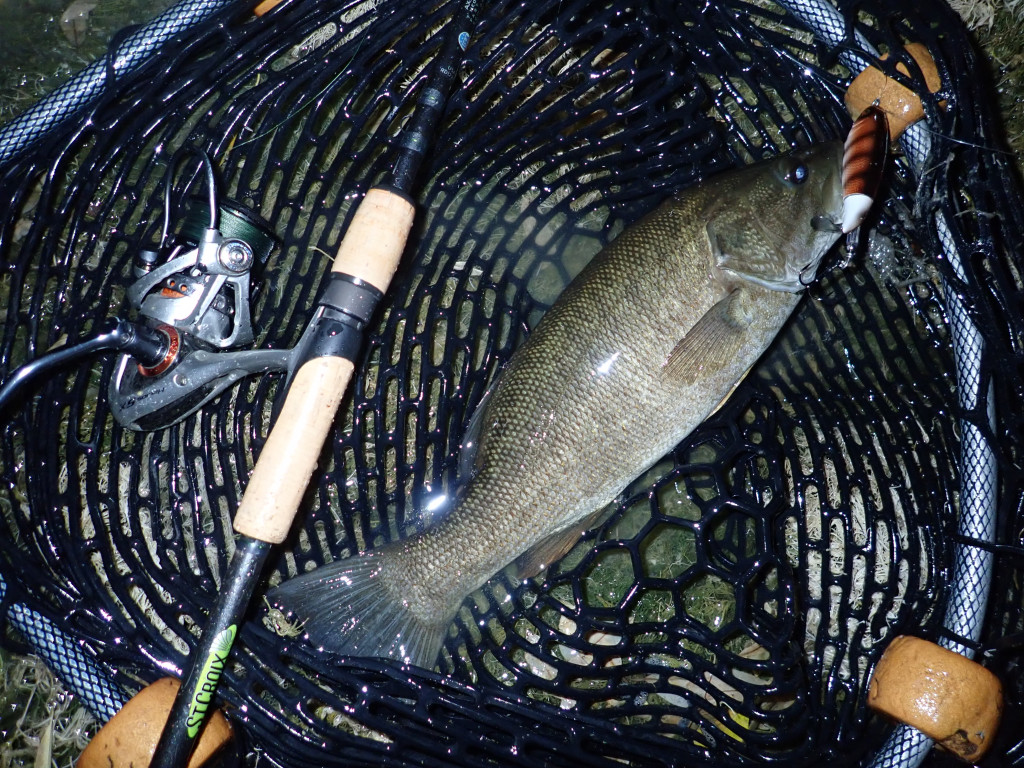 smallmouth bass in a net