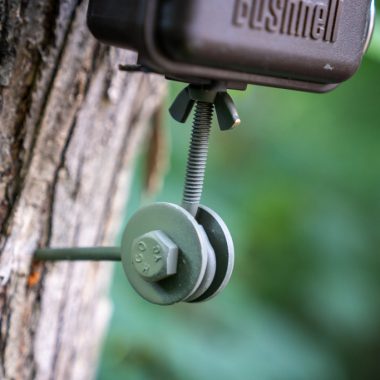 A detail show of two eye screws and bolts in an L shape and screwed into a tree