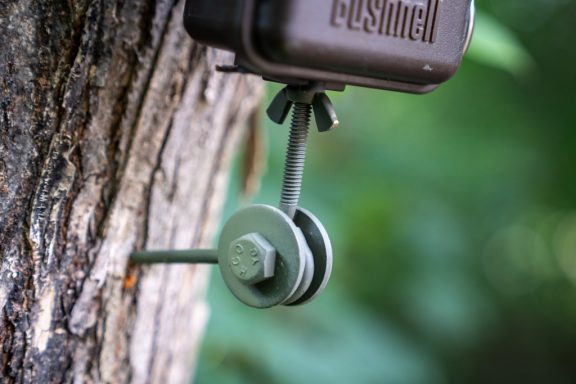 A detail show of two eye screws and bolts in an L shape and screwed into a tree