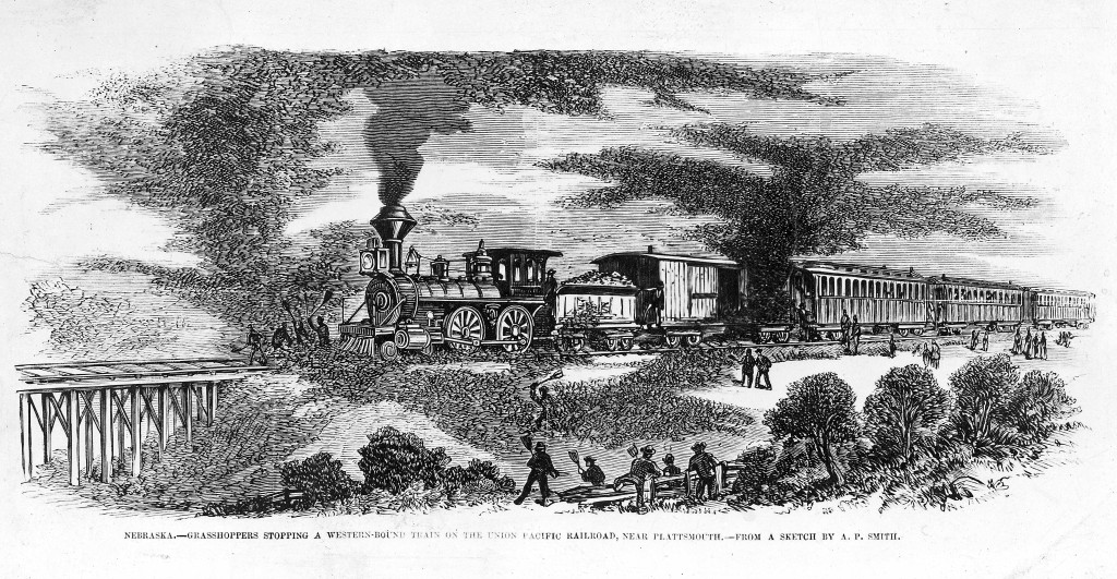 Grasshoppers could stop a train. As steel wheels crushed their bodies on the tracks, the rails became so slippery that the steam engines could gain no traction. This scene near Plattsmouth, Nebraska, appeared in Frank Leslie’s Illustrated Newspaper.