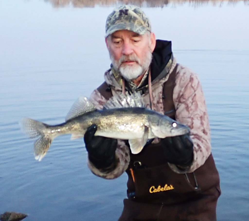 Daryl Bauer holding a saugeye while fishing.