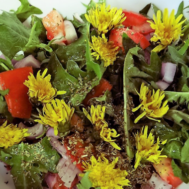 close-up of homemade dandelion salad