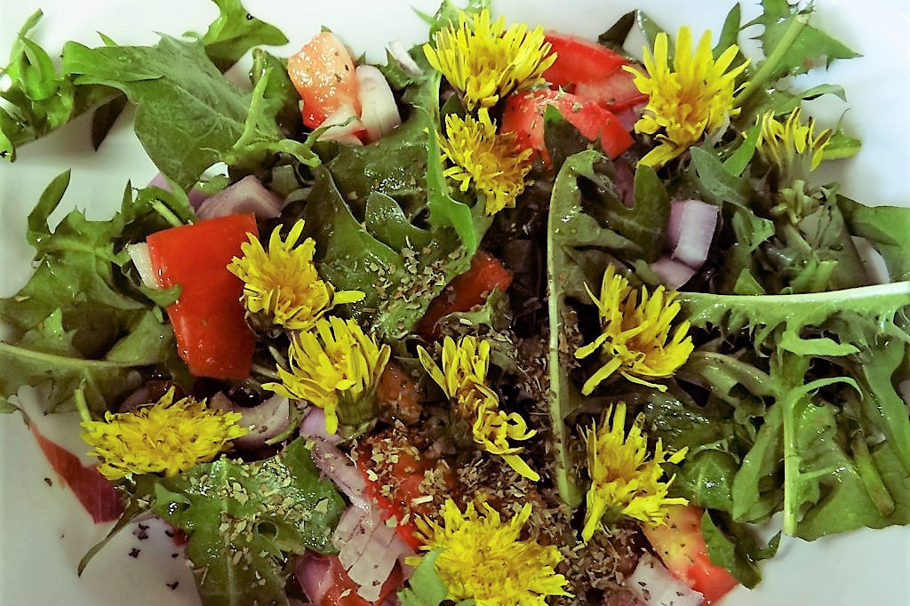 close-up of homemade dandelion salad