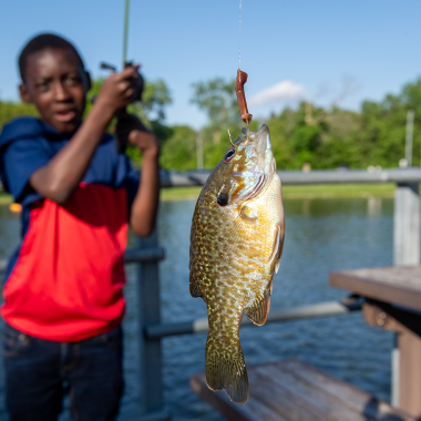 A child shows off a bluegill they caught on a dock at a park during summer.