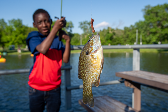 A child shows off a bluegill they caught on a dock at a park during summer.