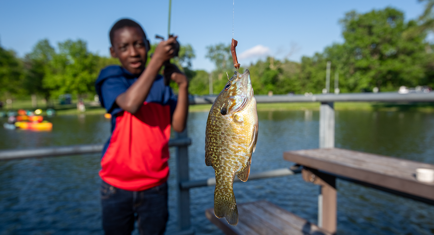 A child shows off a bluegill they caught on a dock at a park during summer.