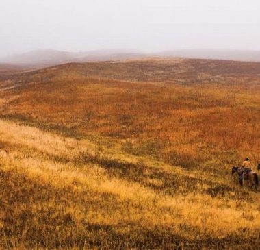 Sandhills prairie in fall color