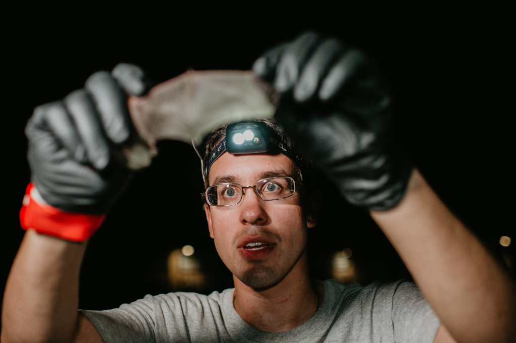 A man holds up a bat, inspecting its wing against light