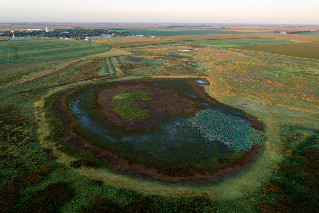 an aerial shows an isolated playa wetland, its teal water vibrant against lush green 