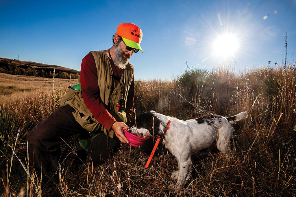 An upland hunter gives his hunting dog a drink of water.