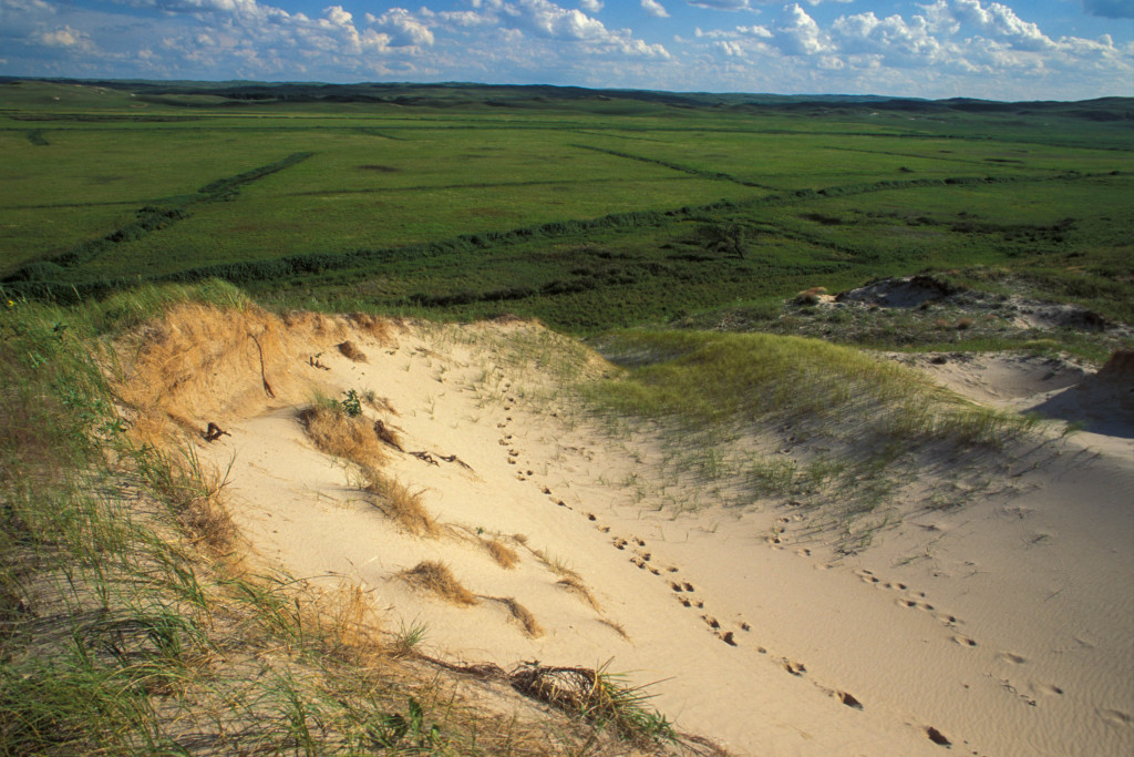 a sandy bank with footsteps in it leading uphill to rolling grass