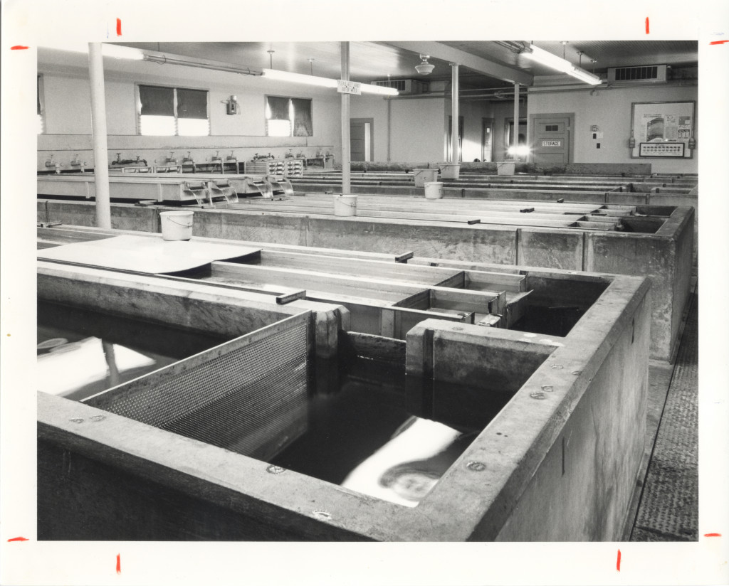 Interior of hatch house at the Crawford National Fish Hatchery in 1983.