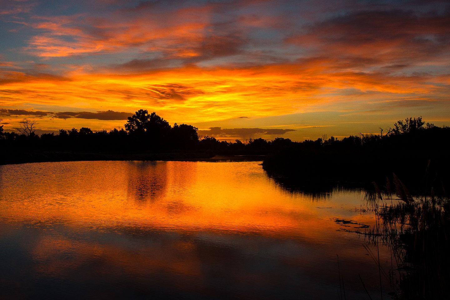 A vibrant summer sunset along a river.