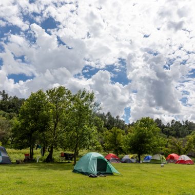 A group of tents in campgrounds at a state park.