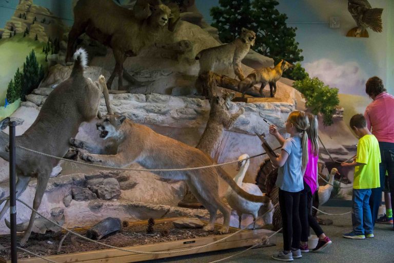 Children check out the nature displays inside the Wildcat Hills Nature Center.