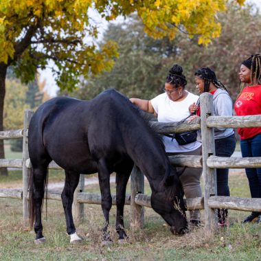 a woman and two girls pet a black horse