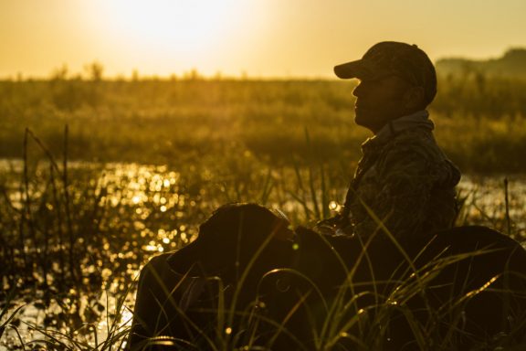 A man and his lab waterfowl hunting on a public wetland.