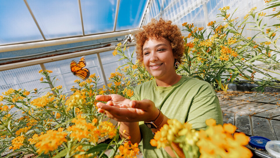 a woman stands among yellow-orange flowers and releases a monarch