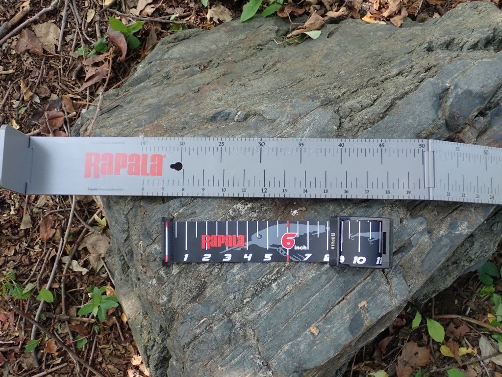 Two Rapala fishing rulers that extend.