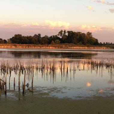 a sun sets on a full wetland